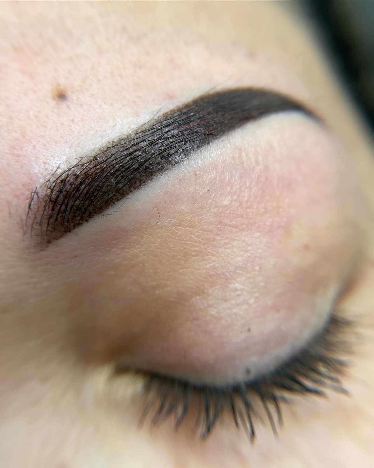 Brow Lounge healed work — image 1